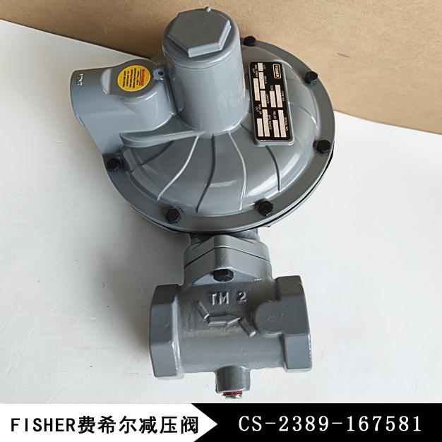 CS-2389-167581费希尔减压阀CS400IN-8E/C8美国进口品牌